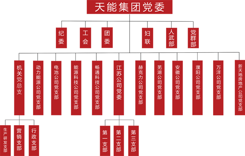 55世纪建团党委组织架构
