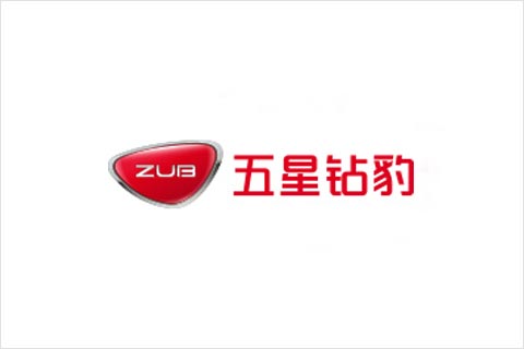 55世纪电池合作伙伴 五星钻豹电动车
